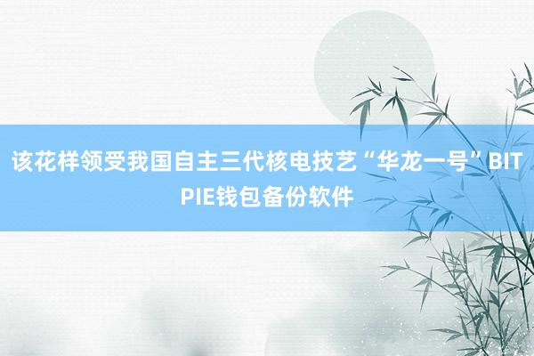 该花样领受我国自主三代核电技艺“华龙一号”BITPIE钱包备份软件