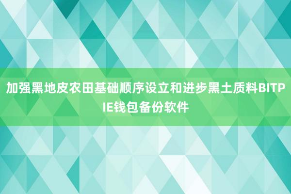 加强黑地皮农田基础顺序设立和进步黑土质料BITPIE钱包备份软件