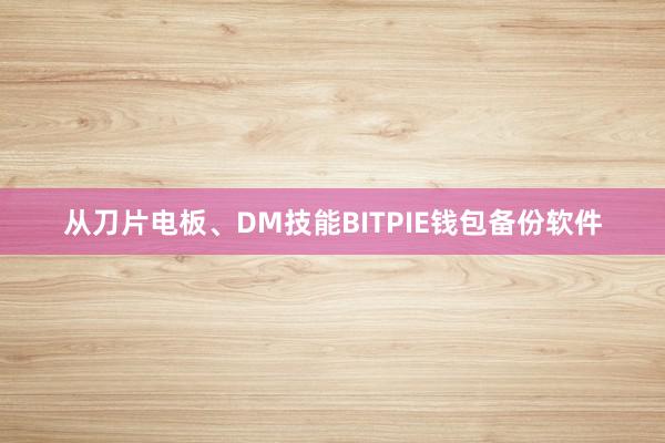 从刀片电板、DM技能BITPIE钱包备份软件