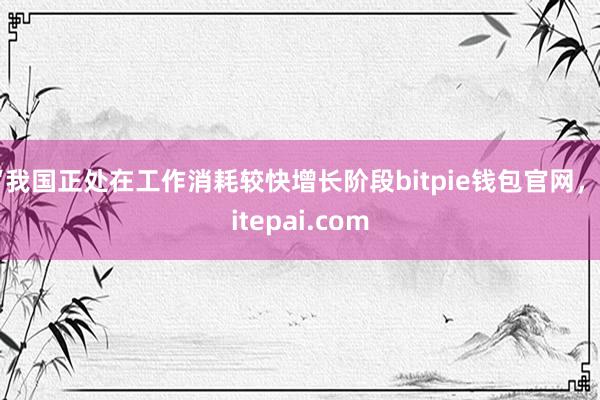 “我国正处在工作消耗较快增长阶段bitpie钱包官网，bitepai.com