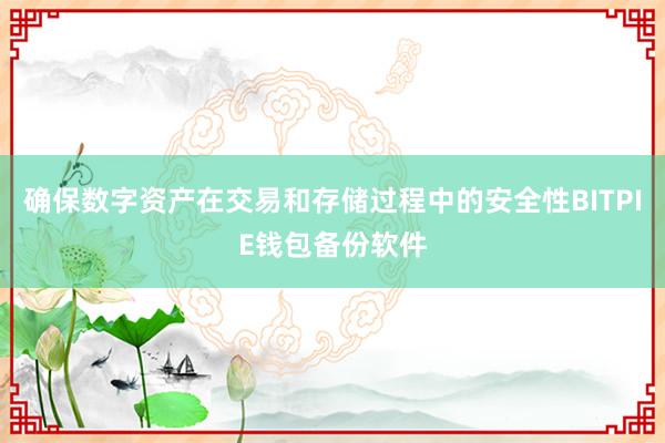 确保数字资产在交易和存储过程中的安全性BITPIE钱包备份软件