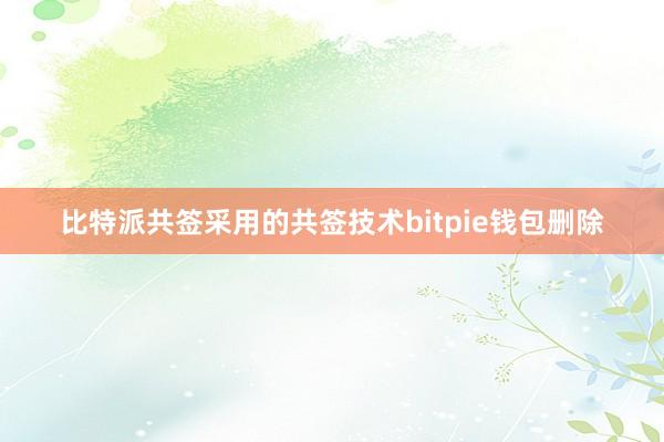 比特派共签采用的共签技术bitpie钱包删除