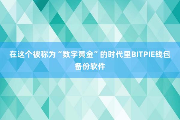 在这个被称为“数字黄金”的时代里BITPIE钱包备份软件