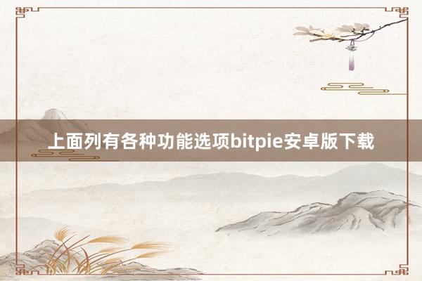 上面列有各种功能选项bitpie安卓版下载