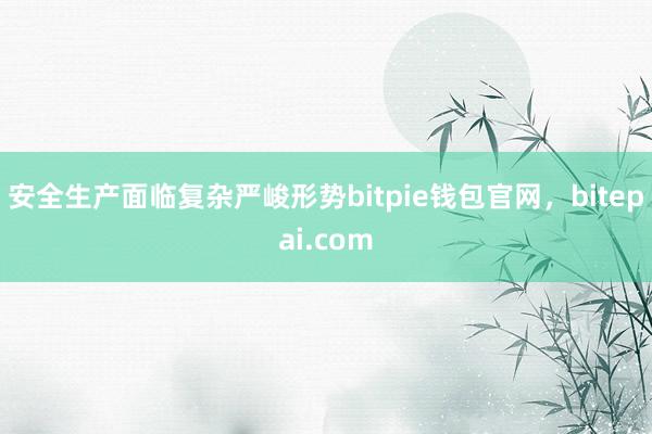 安全生产面临复杂严峻形势bitpie钱包官网，bitepai.com