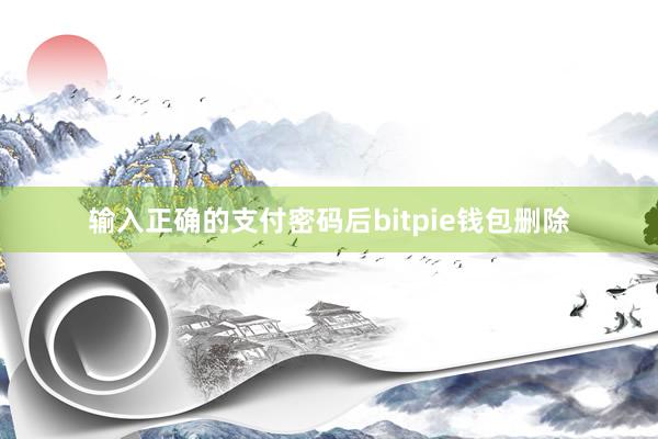 输入正确的支付密码后bitpie钱包删除