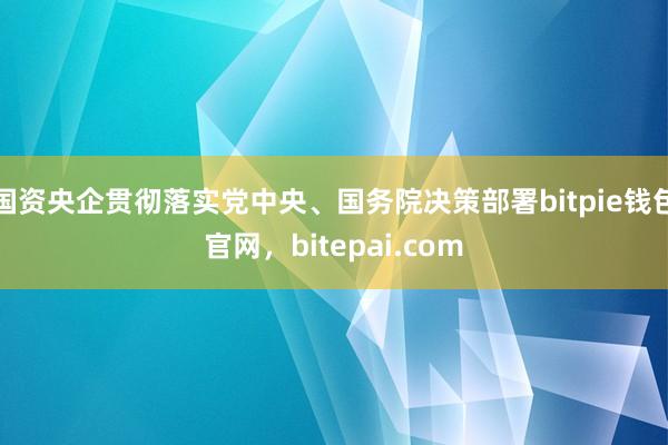 国资央企贯彻落实党中央、国务院决策部署bitpie钱包官网，bitepai.com