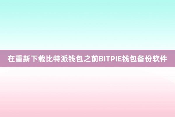 在重新下载比特派钱包之前BITPIE钱包备份软件