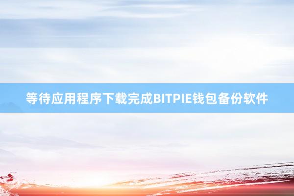 等待应用程序下载完成BITPIE钱包备份软件