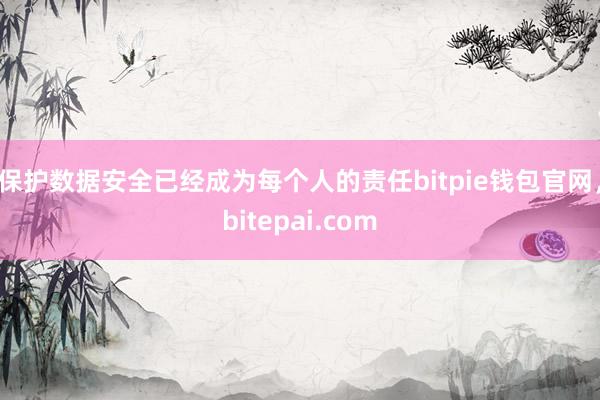 保护数据安全已经成为每个人的责任bitpie钱包官网，bitepai.com