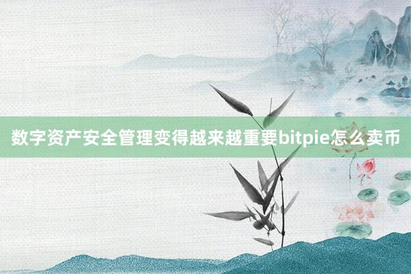 数字资产安全管理变得越来越重要bitpie怎么卖币