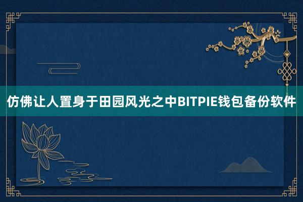 仿佛让人置身于田园风光之中BITPIE钱包备份软件