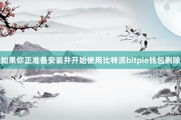 如果你正准备安装并开始使用比特派bitpie钱包删除