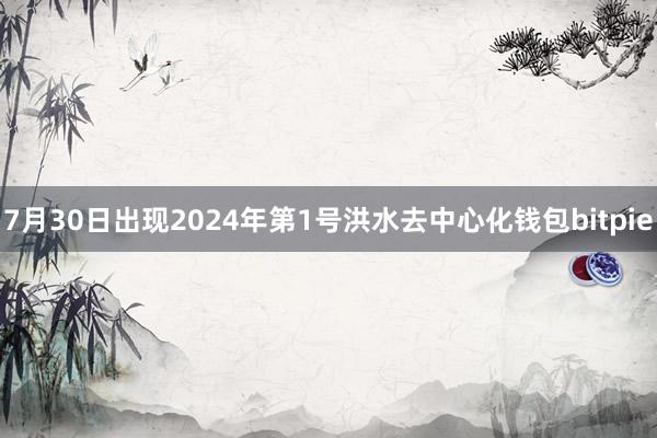 7月30日出现2024年第1号洪水去中心化钱包bitpie