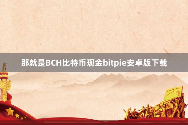 那就是BCH比特币现金bitpie安卓版下载