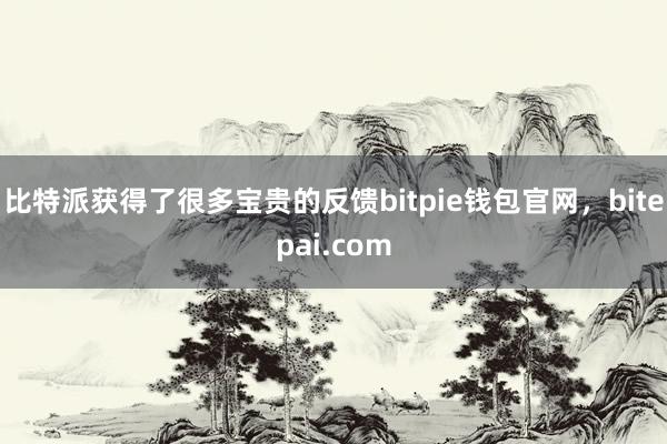 比特派获得了很多宝贵的反馈bitpie钱包官网，bitepai.com