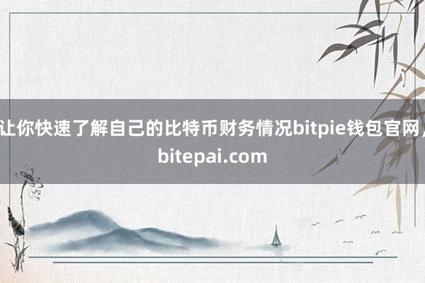 让你快速了解自己的比特币财务情况bitpie钱包官网，bitepai.com