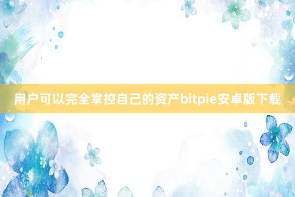 用户可以完全掌控自己的资产bitpie安卓版下载