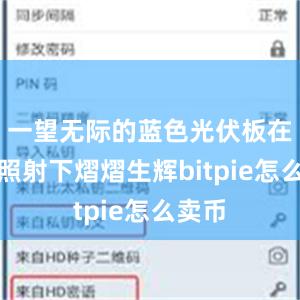 一望无际的蓝色光伏板在阳光照射下熠熠生辉bitpie怎么卖币